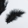 A set of feathers for creativity 30 pcs (14-17 cm), black