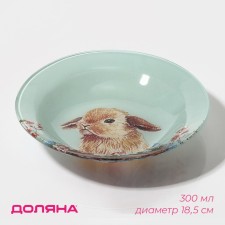 Plate Glass Supova Daulay 