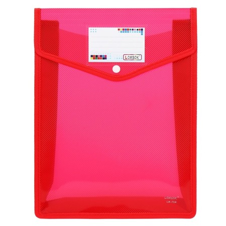 The convert folder on the A4 button, 500 md, with extension, vertical, pocket for business cards, mix-6