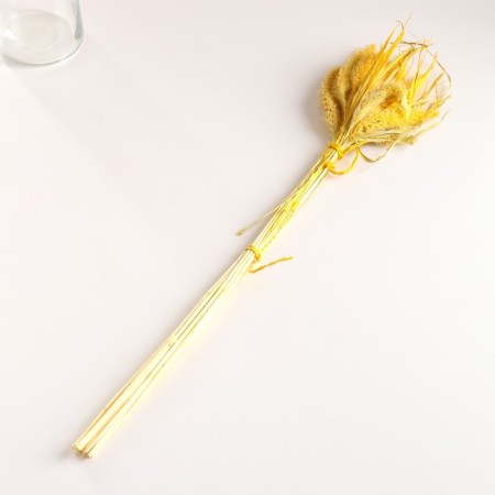 Set of dried flowers "Setaria", banch 7 pcs, length 55-65 (+/- 6 cm), yellow-3