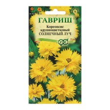 Coreopsis seeds 