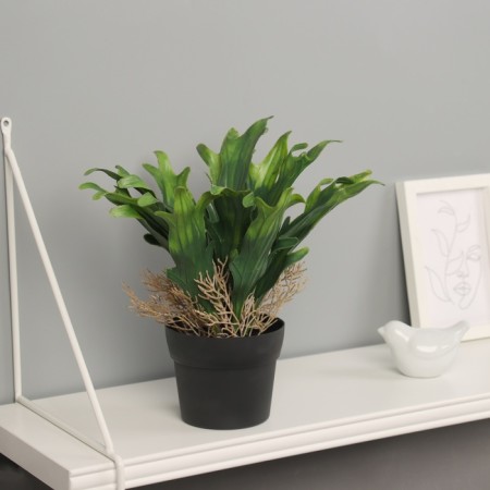 Bonsai in the pot "Calla premium extram" 24x10.5 cm, mix
