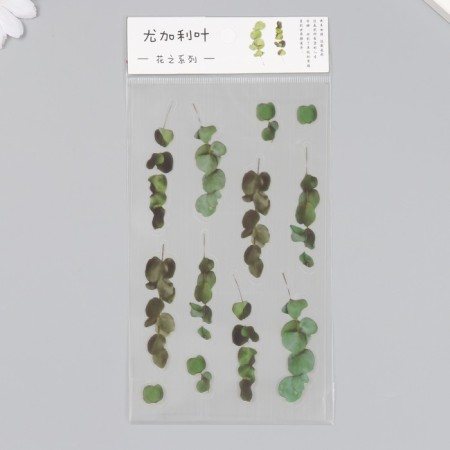 Stickers for creativity plastic "Eucalypt" 21x10.5 cm-2