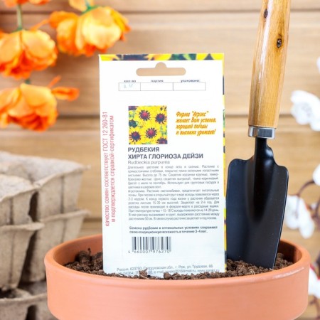 Flowers of Rudbeckia "Hirta Gloriosa Daisy", 0.1 g-1