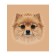 A set of napkins for setting the table "Photo of the Pomeranian Spitz", rectangular, size 32x46 cm, 4 pcs