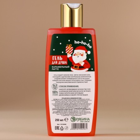 Shower gel Winter Melody, 250 ml, aroma of caramel latte, Ural lab-2