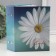 Photo album for 100 photos "Flower collection10, chamomile" 10x15 cm
