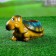 Figure Kashpo "Turtle", 11x 21cm, mix