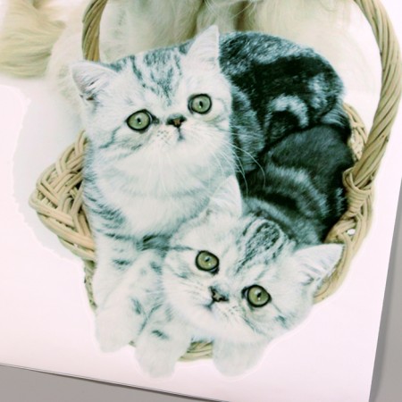 Stick 3D Interior pets 57*40cm-1