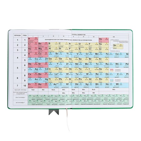 Universal diary for grades 1-11 Lenta, solid cover of artificial leather, applique, silkography, liesse, 48 sheets, green-15
