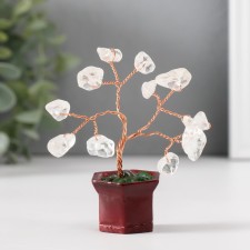 Bonsai souvenir 