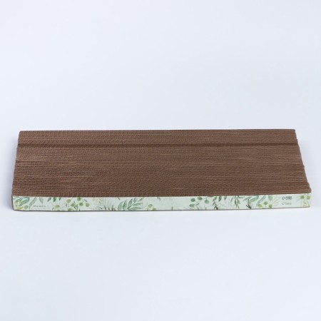 Copiter's cup with cat mint "Mint Greens", 45 cm x 20 cm x 3 cm-4
