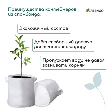 Container with handles, 28 × 28 cm, density 130 g/m², Greengo-7