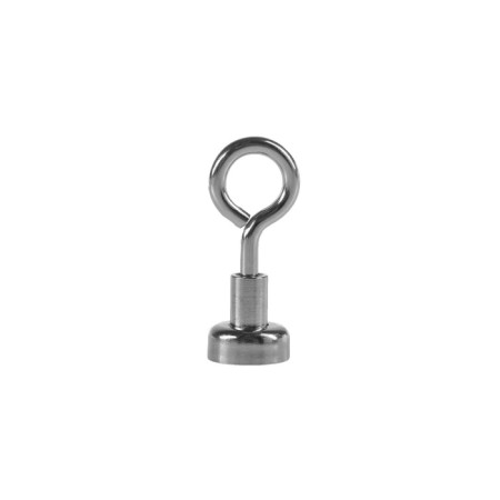 Neodymal magnet Torso with a loop for a car, d-12 mm, clutch 3 kg