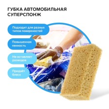 Automobile sponge 