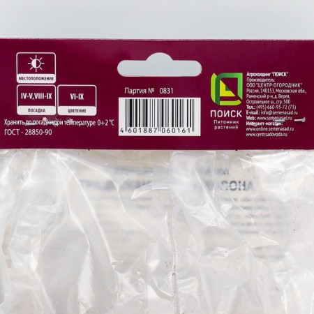 Anderson's tradescantia "Bilberry Ice", 1 pc, rr I, spring 2025-1