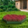 Galf flowerbed, D = 140 cm, h = 15 cm, green, Greengo