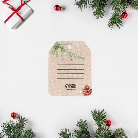 Schildik for the gift "Wishes", 4.9 x 6.3 cm, New Year-3