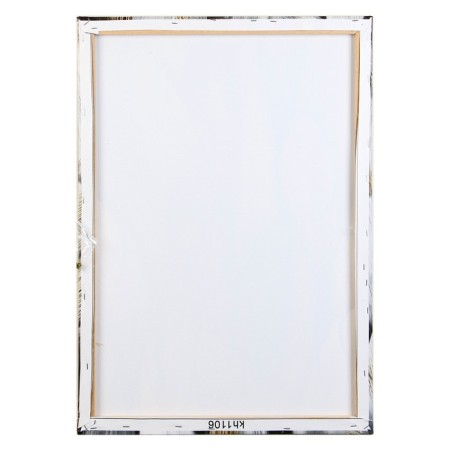 Picture on the canvas "Fogger" 50*70 cm-2