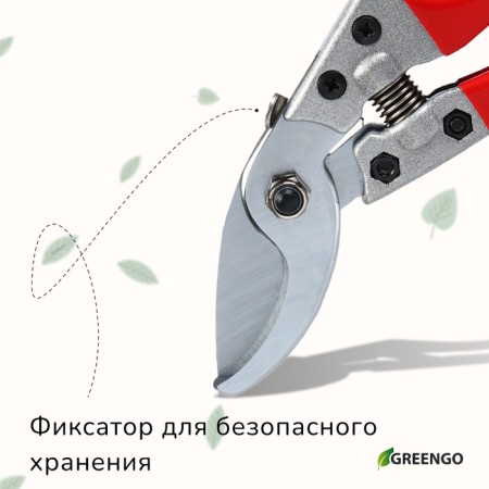 Planning coater, 8 "(20 cm), rubberized handles, Greengo-5