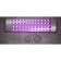 Fitopanel LED full -spectacular "Tabit" 144W