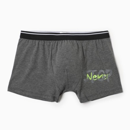 Panties men's boxers, dark gray color, size 48 (l)