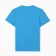 T -shirt male, turquoise color, size 54