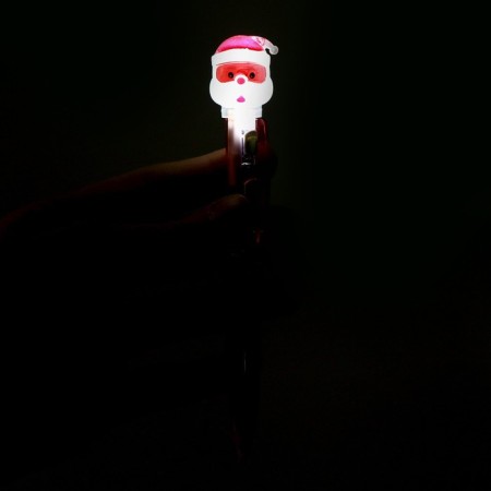 Hand "New Year" Light, species mix-5