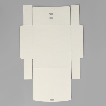 Folding Gift Box "New Year's Botanika", 20 x 18 x 5 cm, without tape, New Year-8
