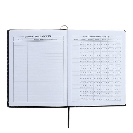Universal Diary Grade 1-11, 48 sheets "Princess-ballerina", solid cover of artificial leather, lies, universal cheat sheet, block 80 g/m2-8
