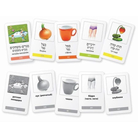 Thematic cards. My first words in Hebrew. 333 cards for memorization-1