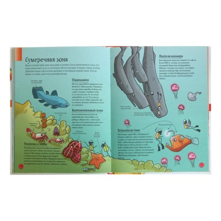About everything in the world for children-5