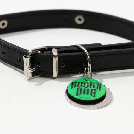 Rochin Dog dog collar with an addressee, Osh 27-34 cm-4