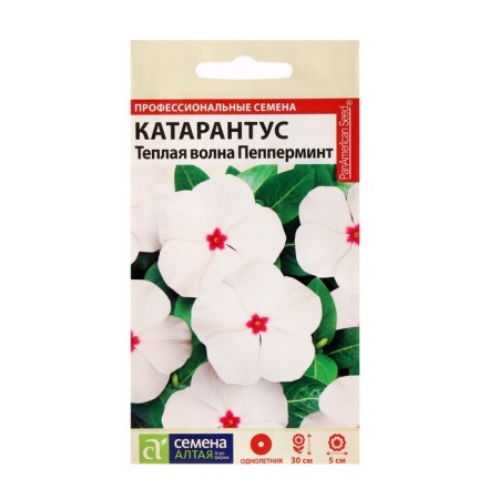 Flower seeds Catarantus "Warm Wave", Peppermint, 7 pcs.