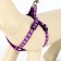 The set of stitched "paws", leash 120 x 1 cm, OG 23-35 cm, purple