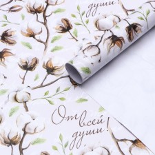 Glossy packaging paper 