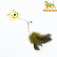 A toy for cats with cat mint and feathers 