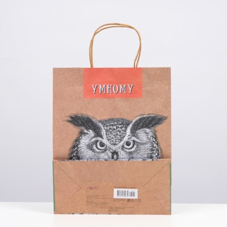 Gift package "smart" 26 x 32 x 12 cm-1