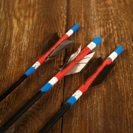 Souvenir set "Onions and 3 arrows" 75x12x5 cm-5