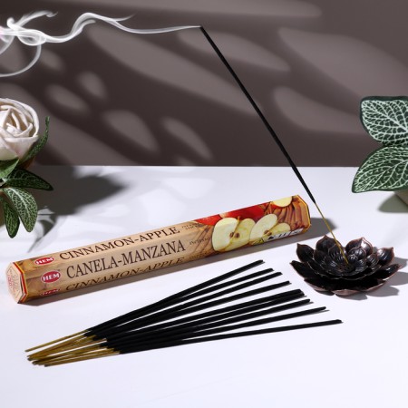 Incense hem "Cinnamon-Apple. Cinnamon-Yobloko", 20 wands in packaging, hexagon