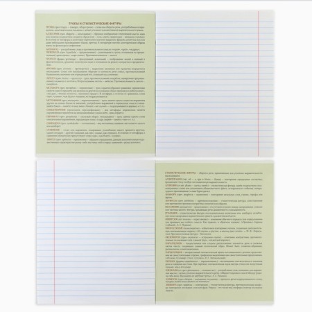 Subject notebook A5, 48 liters on the paper clip internal block No. 2 “September 1: Anime Comic. Littletor” VD LAK-2