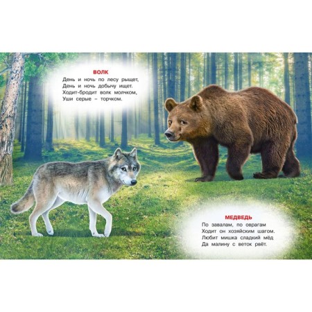Forest neighbors. Stepanov V.-2