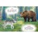 Forest neighbors. Stepanov V.