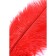 Ostrich -toyfa Theatre feather, red color, 40 cm