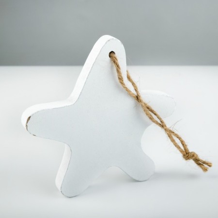 Interior souvenir "Sea star" 10*10cm-2