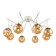 Ceiling EVOLUCE lamp. Sle110202-08. Calletta. 8x40 watts, E14, 79x79x37 cm, white color