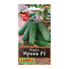 Cucumber seeds 
