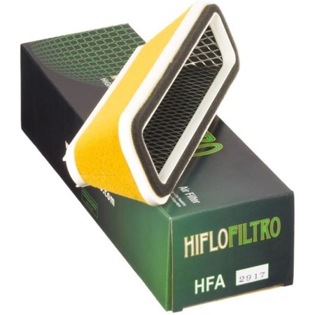 Air filter HFA2917