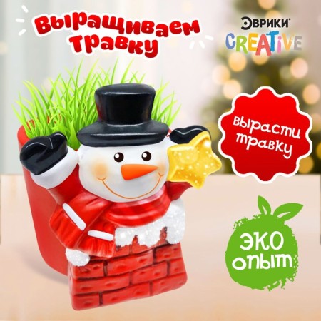Set for experiments “grow grass”, snowman