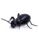 Ant radio -controlled "tree", works from batteries, light
